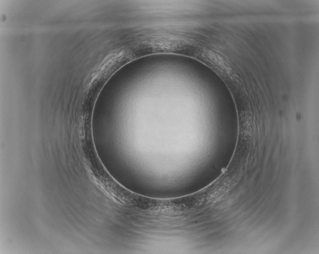 X0000059090738200510172054