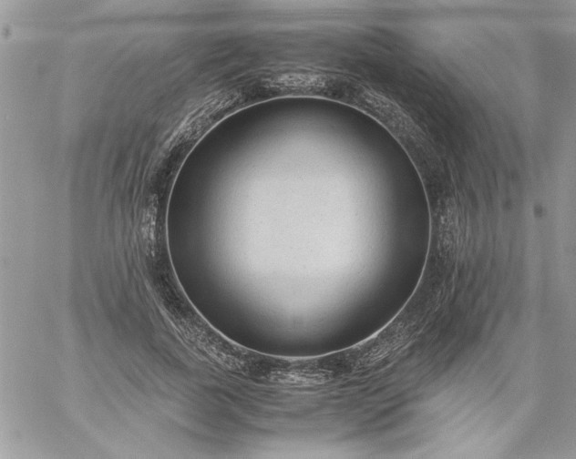 X0000059090739200510172054