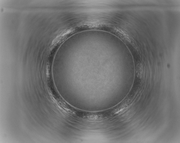 X0000059090740200510172054