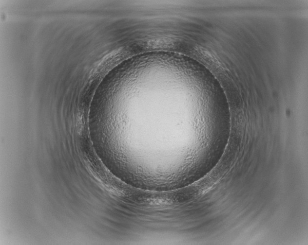 X0000059090741200510172054