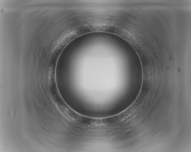 X0000059090742200510172054