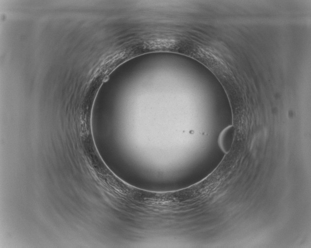 X0000059090743200510172054