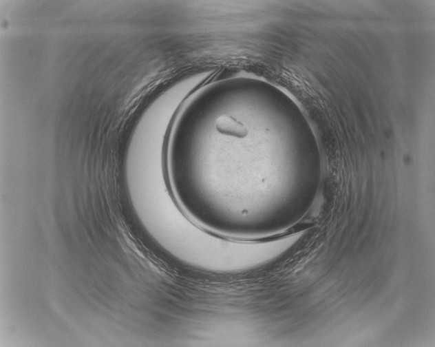 X0000059090744200510172054