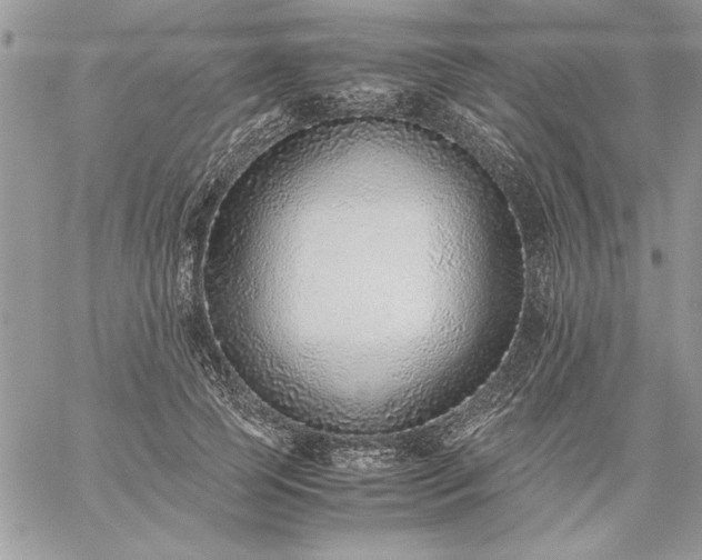 X0000059090745200510172054