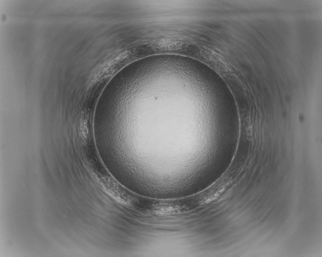 X0000059090746200510172054