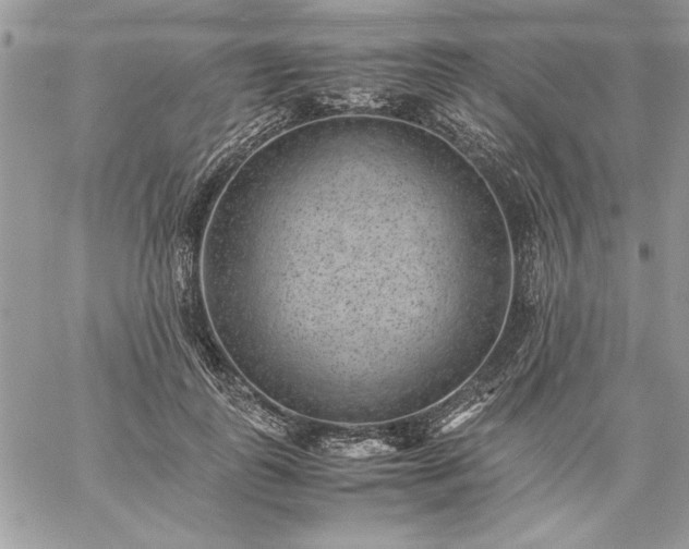 X0000059090747200510172054