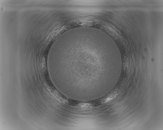 X0000059090748200510172054