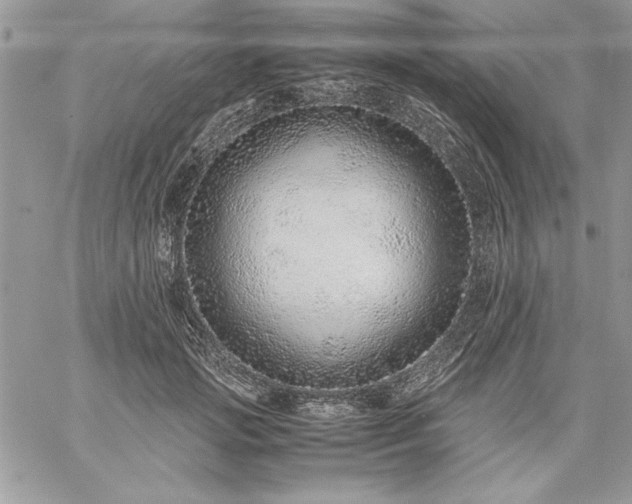 X0000059090749200510172054