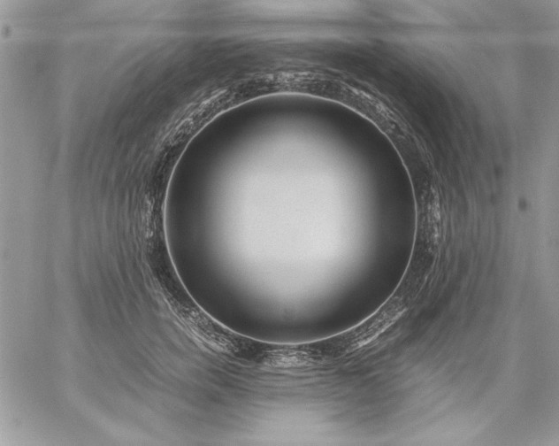 X0000059090750200510172054