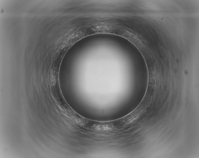 X0000059090751200510172054