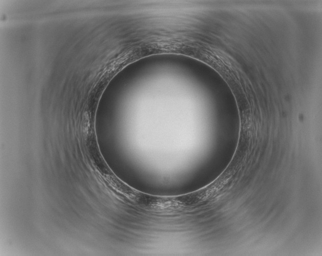 X0000059090752200510172054