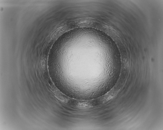 X0000059090753200510172054