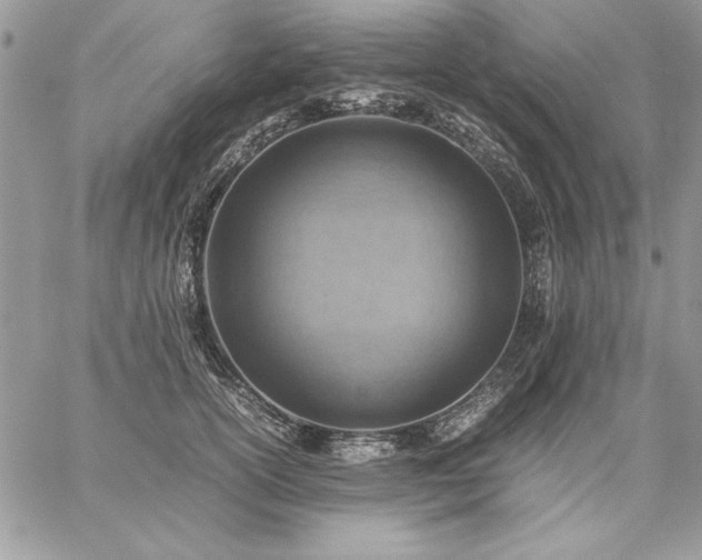 X0000059090754200510172054