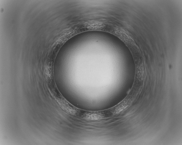 X0000059090755200510172054