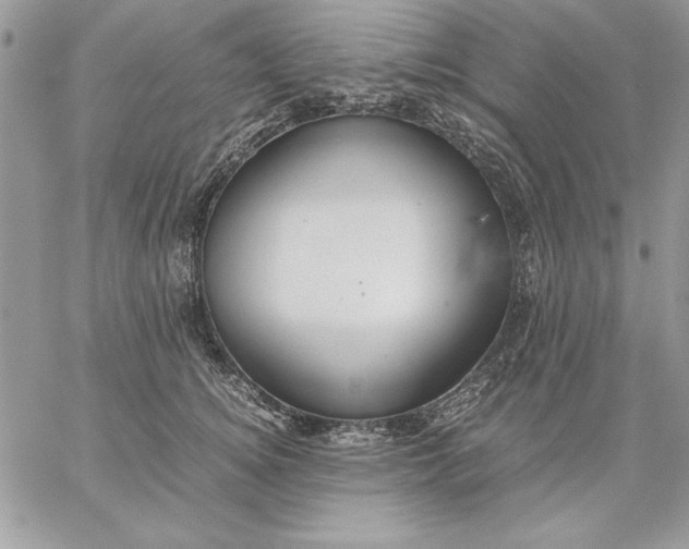 X0000059090756200510172054