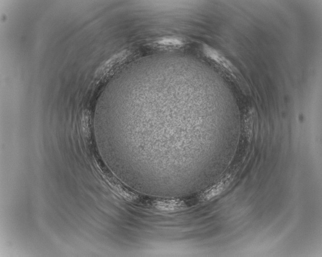 X0000059090757200510172054