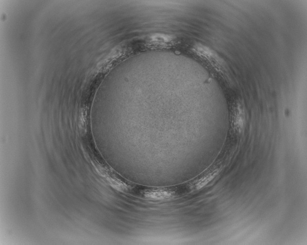 X0000059090759200510172054