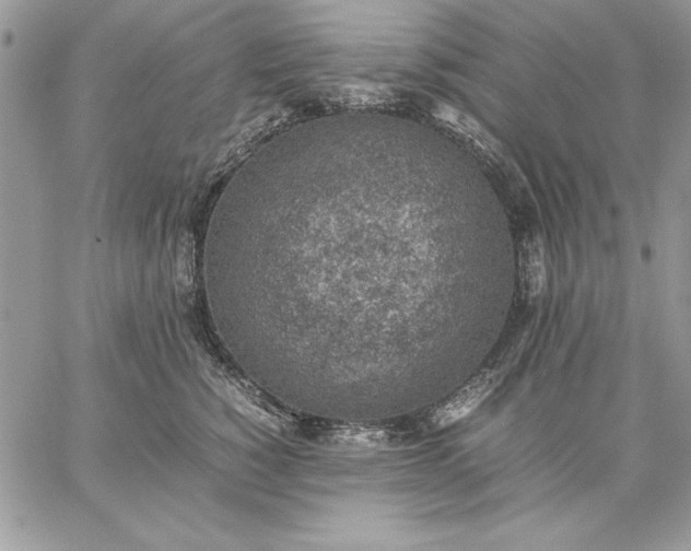 X0000059090760200510172054