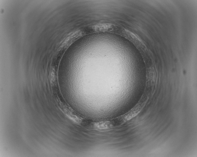 X0000059090761200510172054