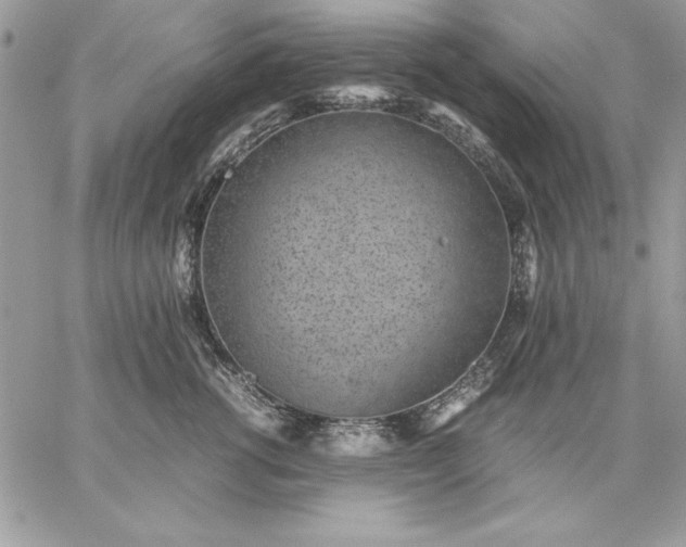 X0000059090762200510172054