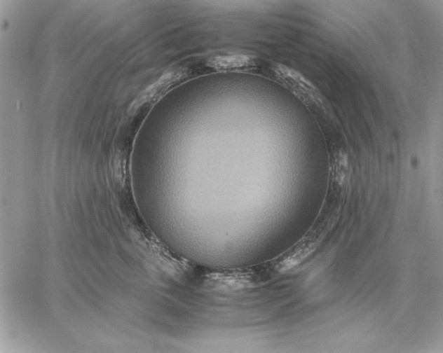 X0000059090763200510172054