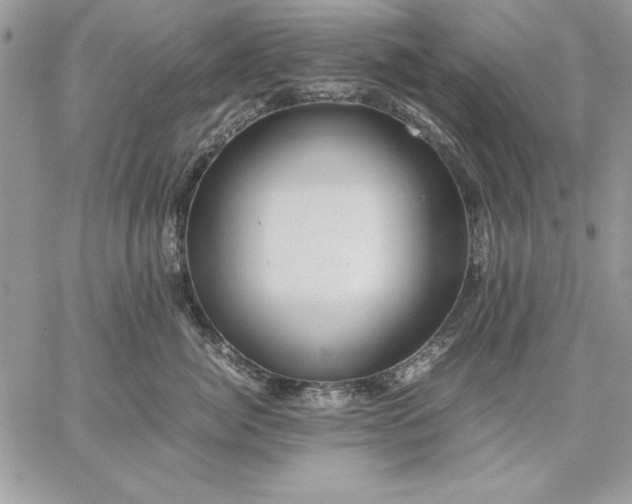 X0000059090764200510172054