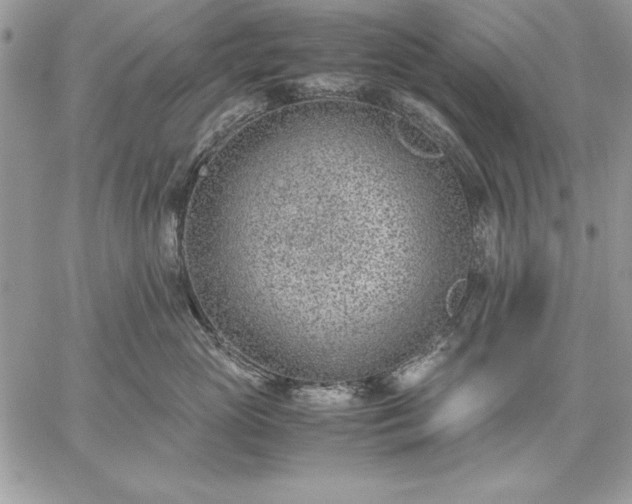 X0000059090765200510172054