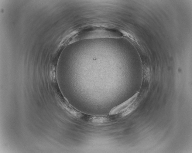 X0000059090766200510172055