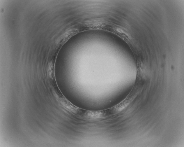 X0000059090767200510172055