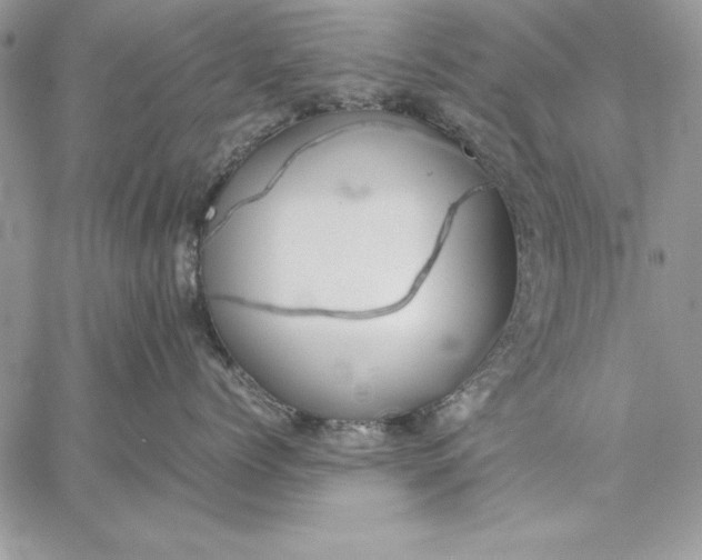 X0000059090768200510172055