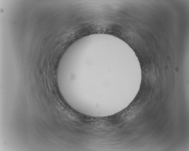 X0000059090769200510172054