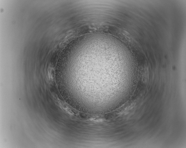 X0000059090770200510172054