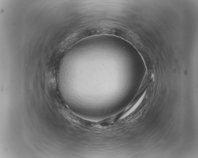 X0000059090771200510172054