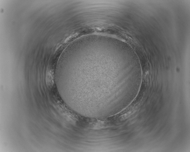 X0000059090772200510172054