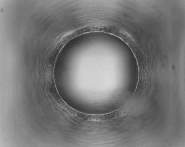 X0000059090773200510172054