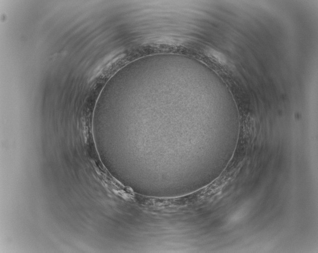 X0000059090774200510172054