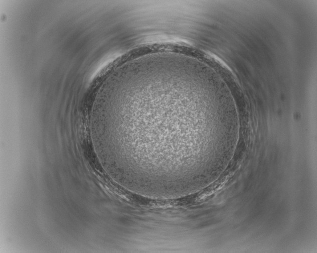 X0000059090775200510172054