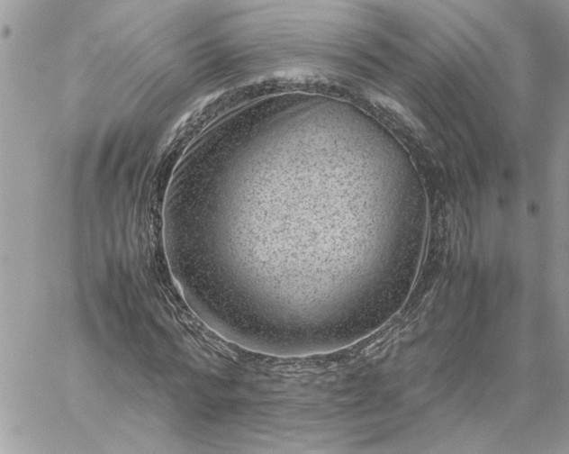 X0000059090776200510172054