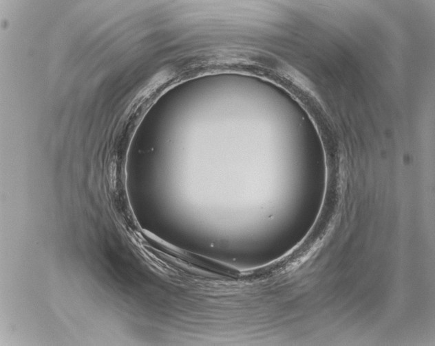 X0000059090777200510172054