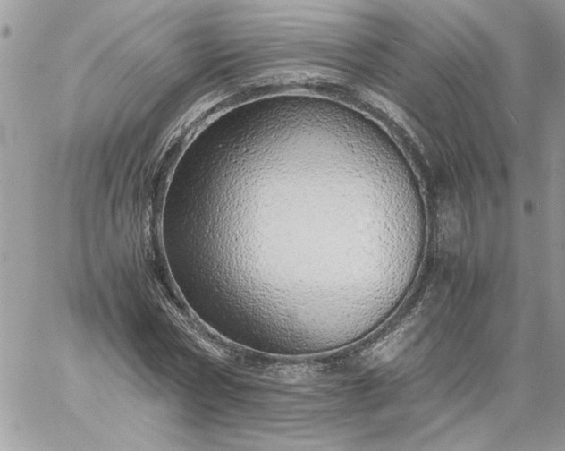 X0000059090778200510172054