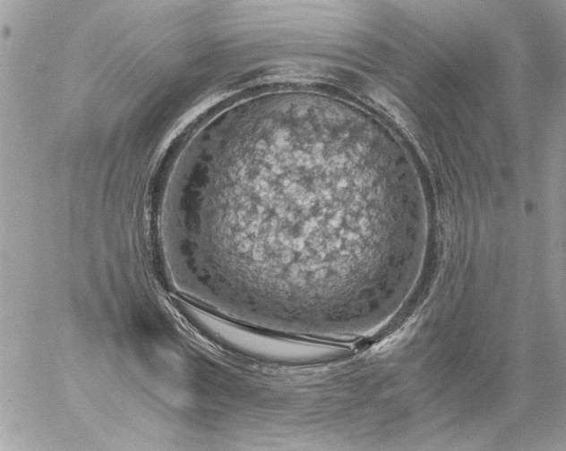 X0000059090779200510172054