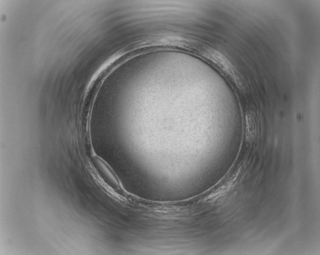 X0000059090780200510172054