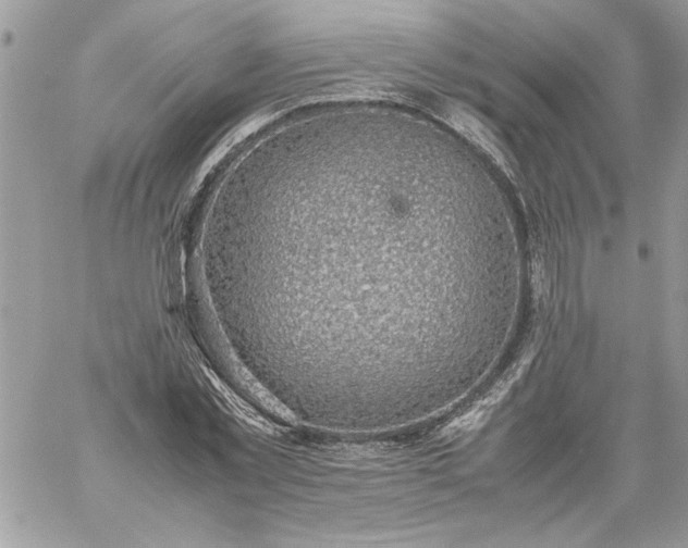 X0000059090781200510172054