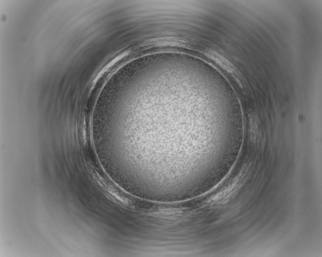 X0000059090782200510172054