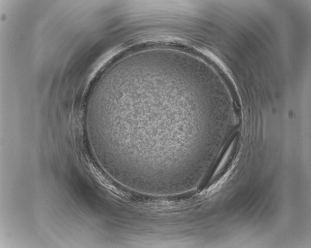 X0000059090783200510172054