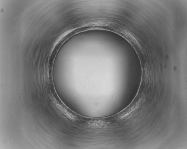 X0000059090784200510172054