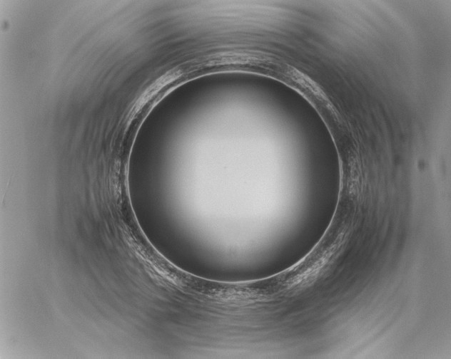 X0000059090786200510172053