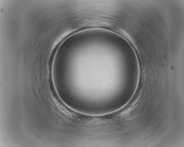 X0000059090787200510172053