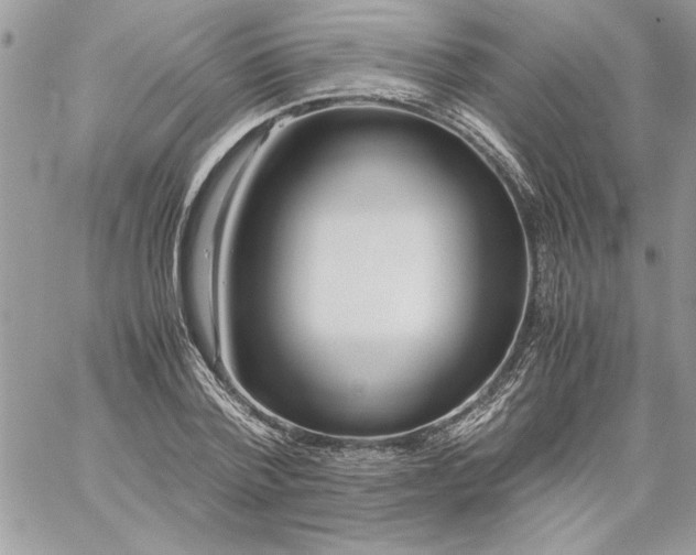 X0000059090788200510172053