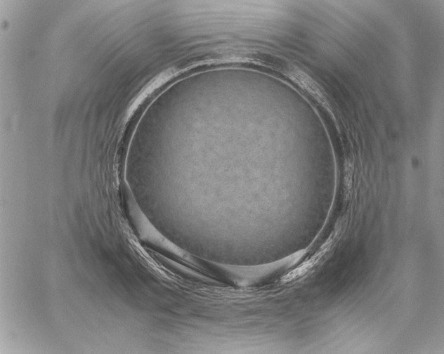 X0000059090789200510172053